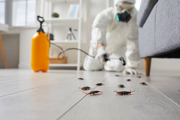 Trusted Bed Bug Control service in Walled Lake, MI - Nex Pest Control
